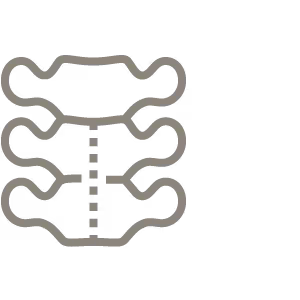 Icon Wirbelsäule