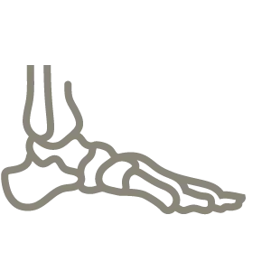 Icon Fuß