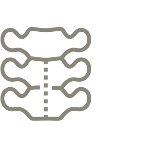 Icon Wirbelsäule